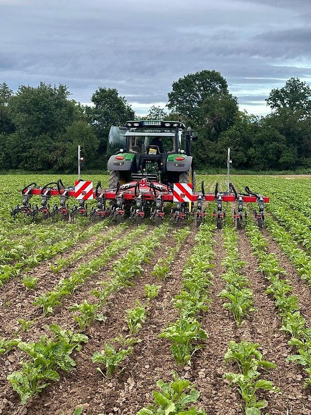 Kverneland Kverneland Verschieberahmen Lynx 2000 mit Anbauhacke Onyx 3000F