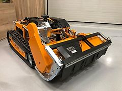 AS-Motor AS 1000 Ovis RC