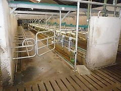 GEA 2x20 SwingOwer Euro Class 800 Dematron 70 KOMPLETNA