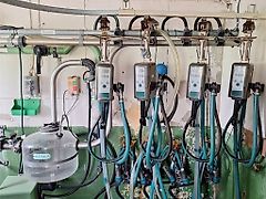 Westfalia Melkeanlegg