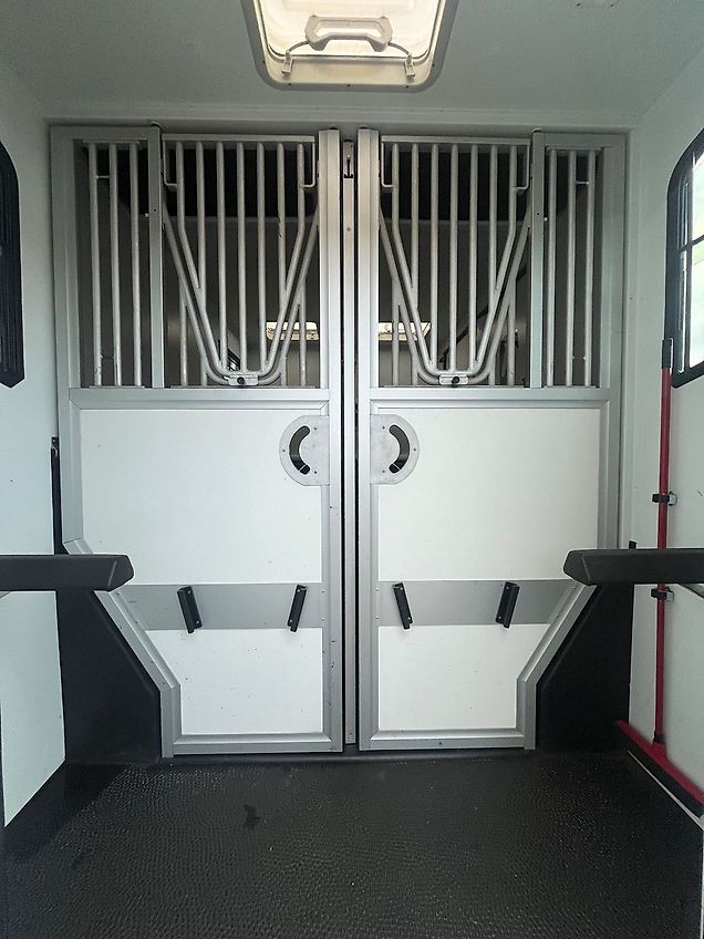 Renault Master Theault Proteo Pferdetransporter 5 Sitz